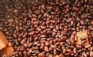 African Red Akidi Beans 16oz