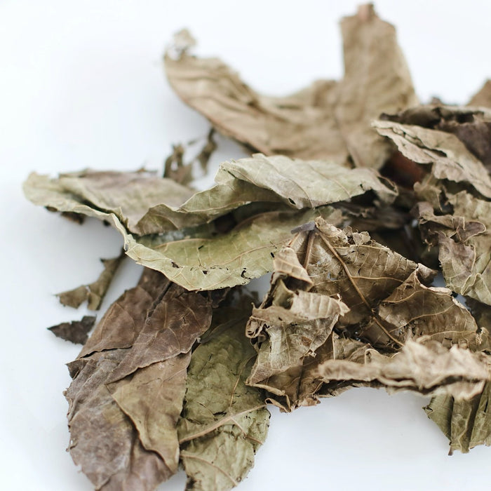 Dried Djeka Leaves