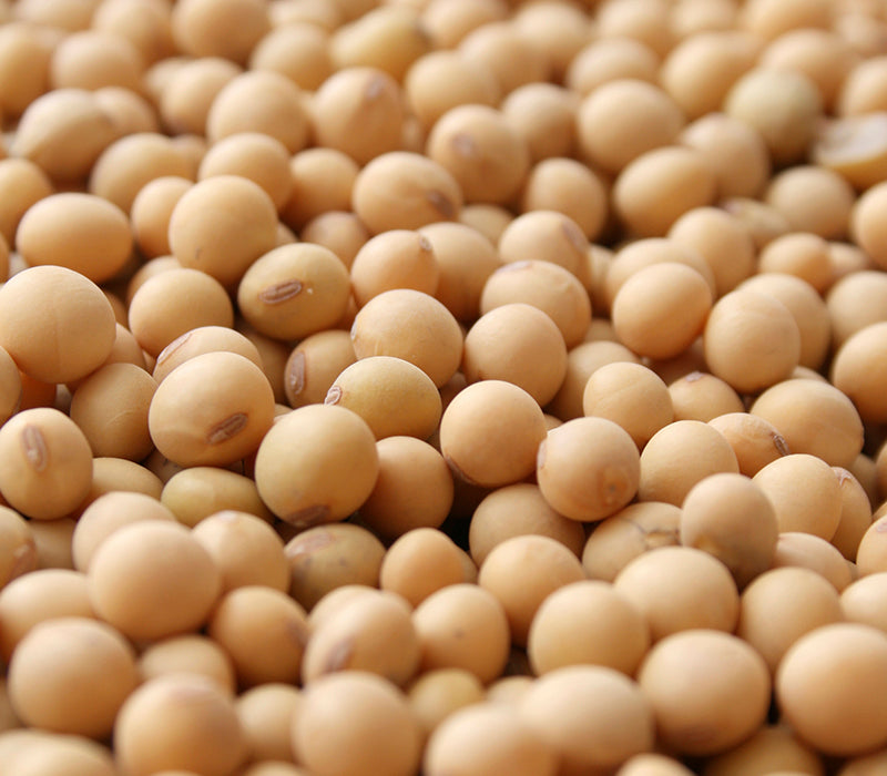 Soya Beans